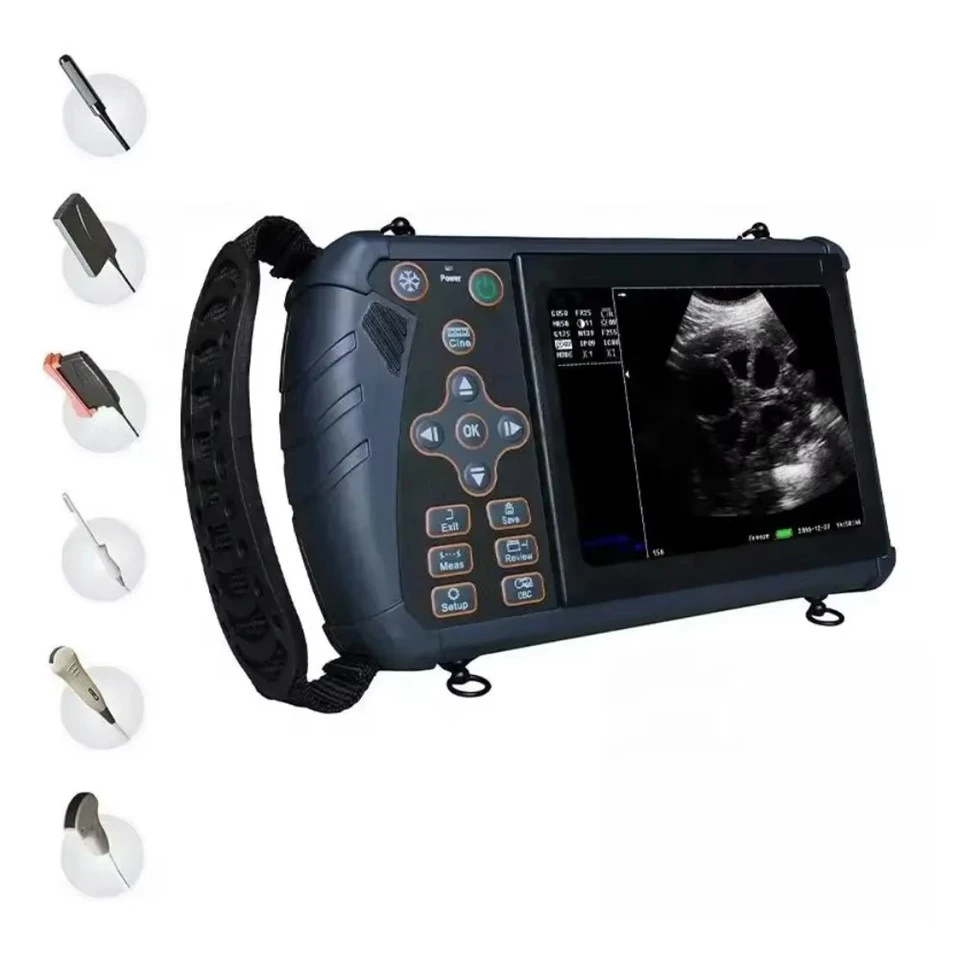 FTL-U56F Portable Ultrasound Veterinary Machine factory